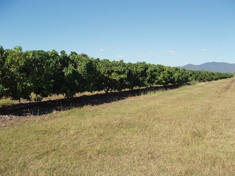 Mareeba QLD 4880