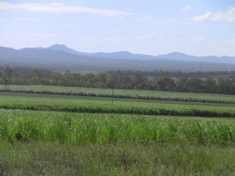 Mareeba QLD 4880