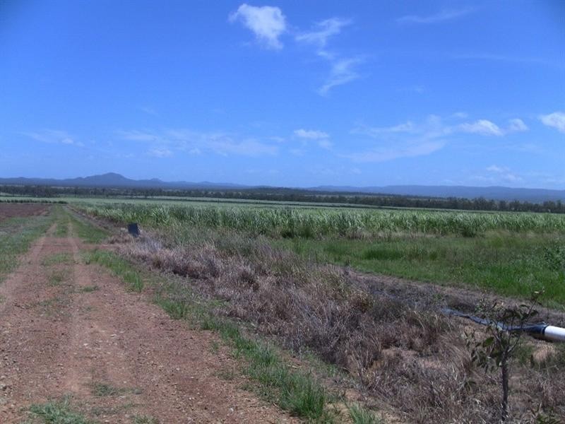 Mareeba QLD 4880
