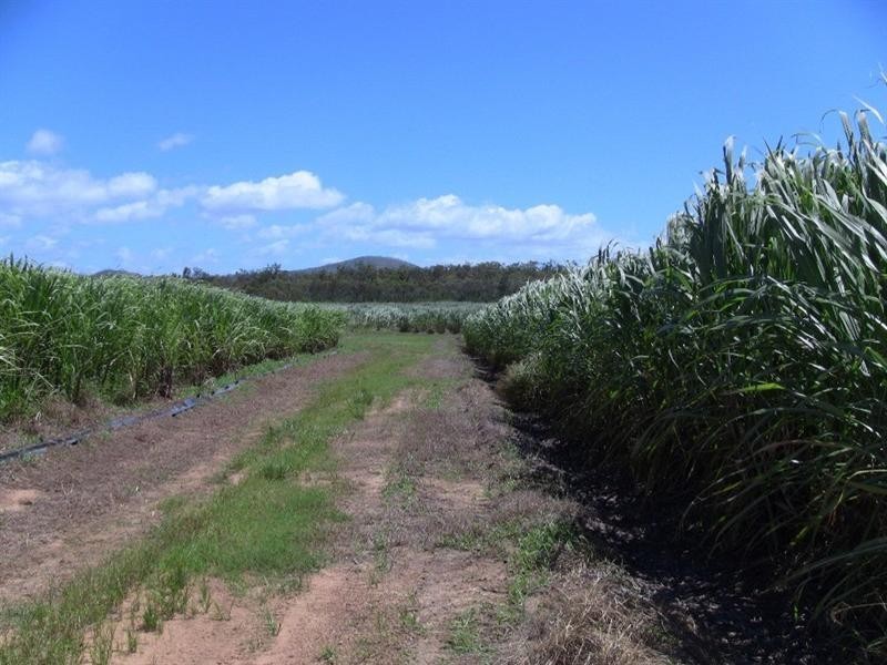 Mareeba QLD 4880