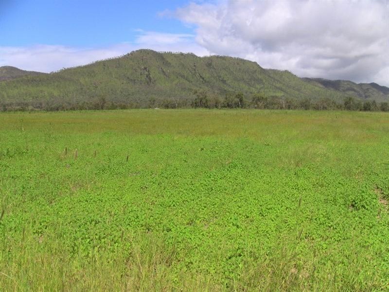 Mareeba QLD 4880