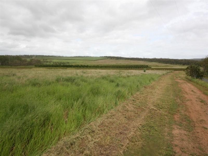Arriga QLD 4880