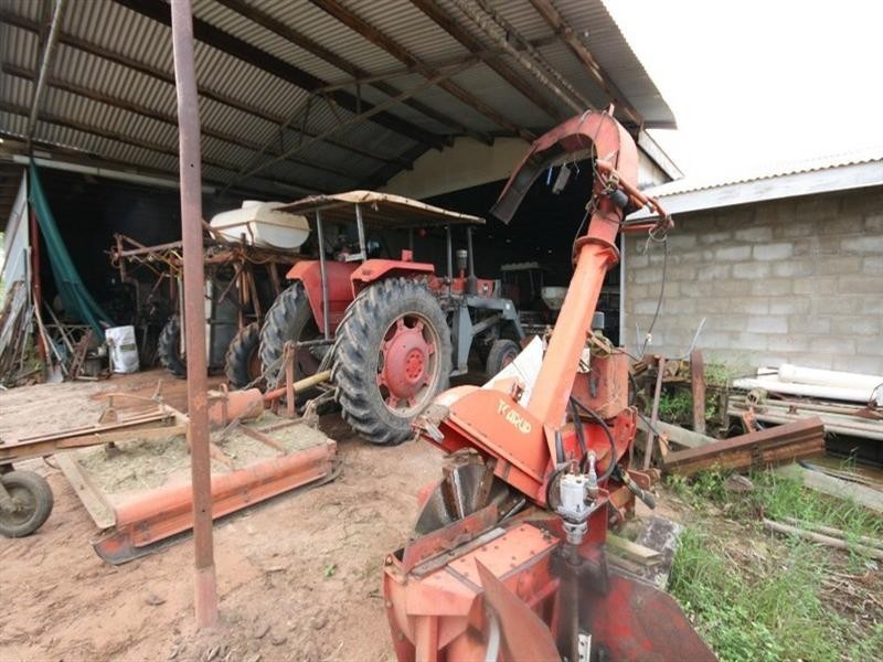 Arriga QLD 4880