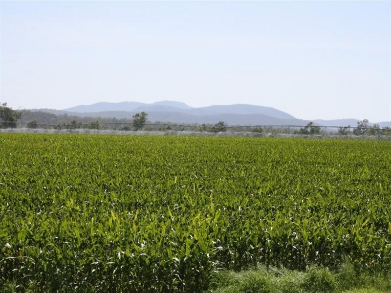 Innot Hot Springs QLD 4872