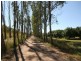 Mareeba QLD 4880