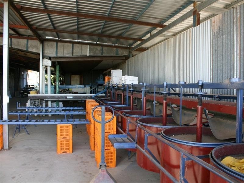 Dimbulah QLD 4872