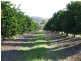 Dimbulah QLD 4872