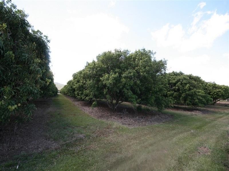 Koah QLD 4881