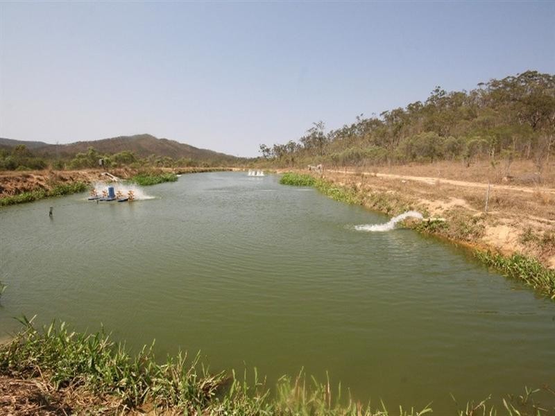 358 Wetherby Road, Mount Molloy QLD 4871