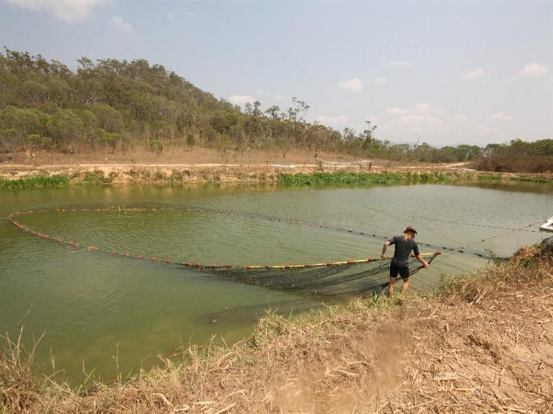 358 Wetherby Road, Mount Molloy QLD 4871