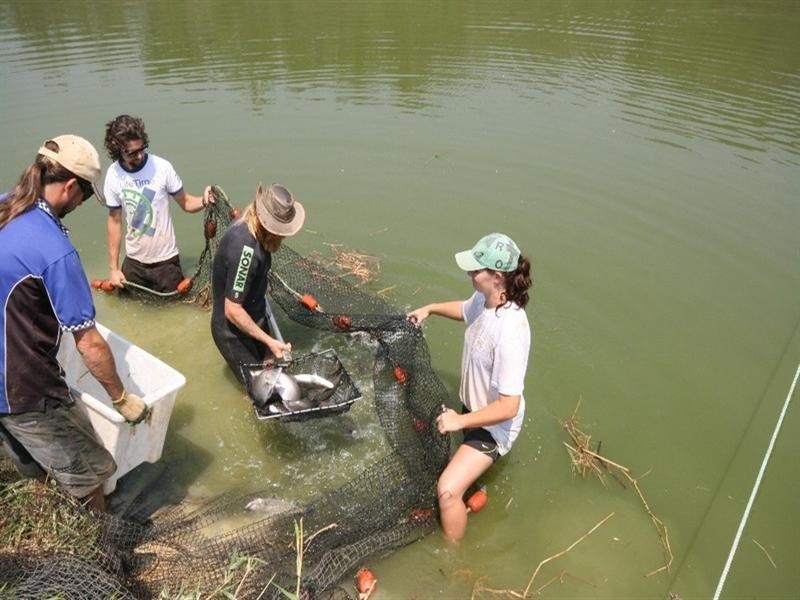 358 Wetherby Road, Mount Molloy QLD 4871