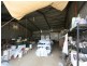 358 Wetherby Road, Mount Molloy QLD 4871