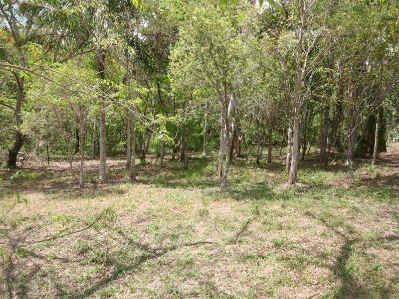 12 Crothers Street, Mount Molloy QLD 4871