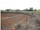 Mareeba QLD 4880