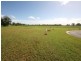 Mareeba QLD 4880