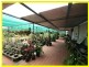 Mareeba QLD 4880