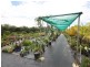 Mareeba QLD 4880