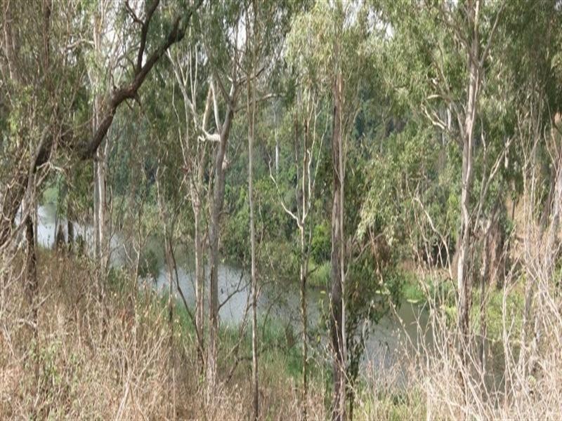 Mareeba QLD 4880