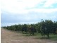 Mareeba QLD 4880