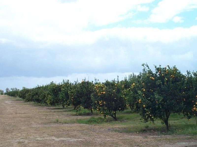 Mareeba QLD 4880