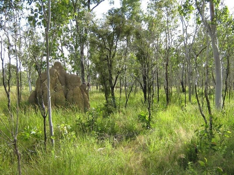 Dimbulah QLD 4872