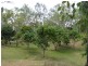 Mareeba QLD 4880