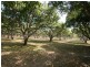 Mareeba QLD 4880