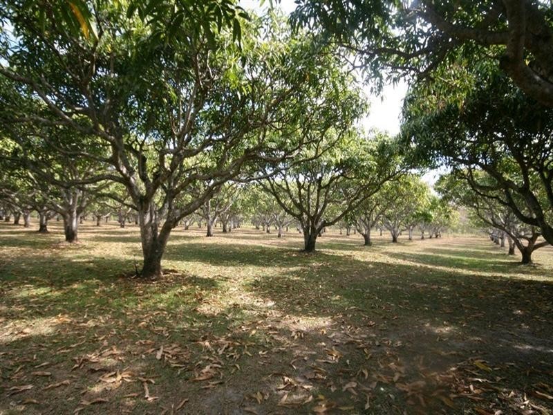 Mareeba QLD 4880