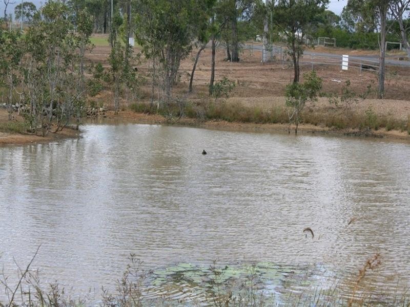 Mareeba QLD 4880