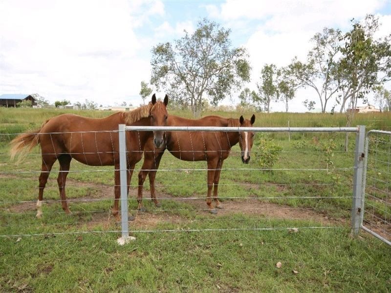 Mareeba QLD 4880