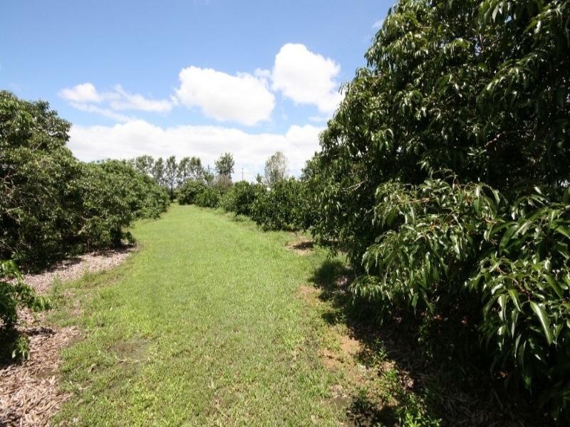 Mareeba QLD 4880