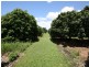 Mareeba QLD 4880