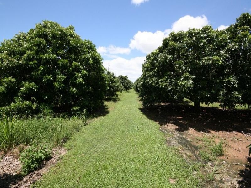 Mareeba QLD 4880