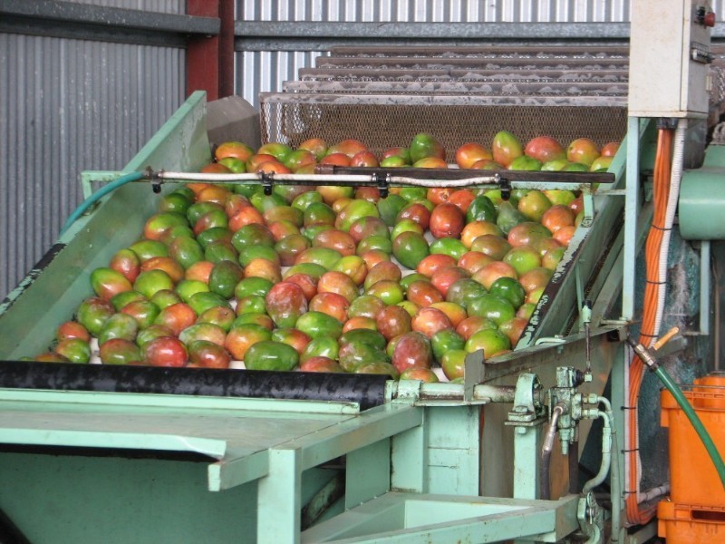 Mutchilba QLD 4872