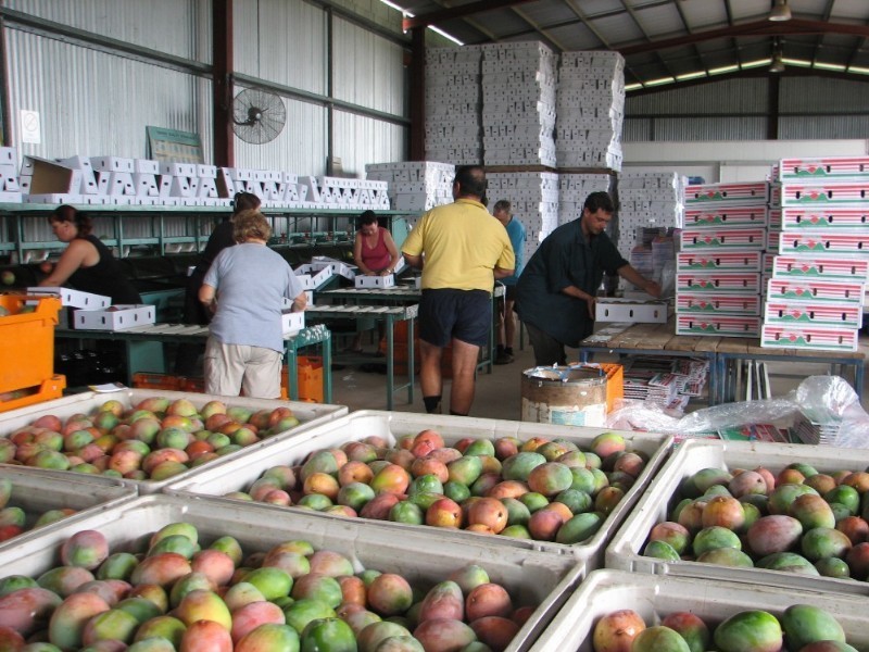 Mutchilba QLD 4872