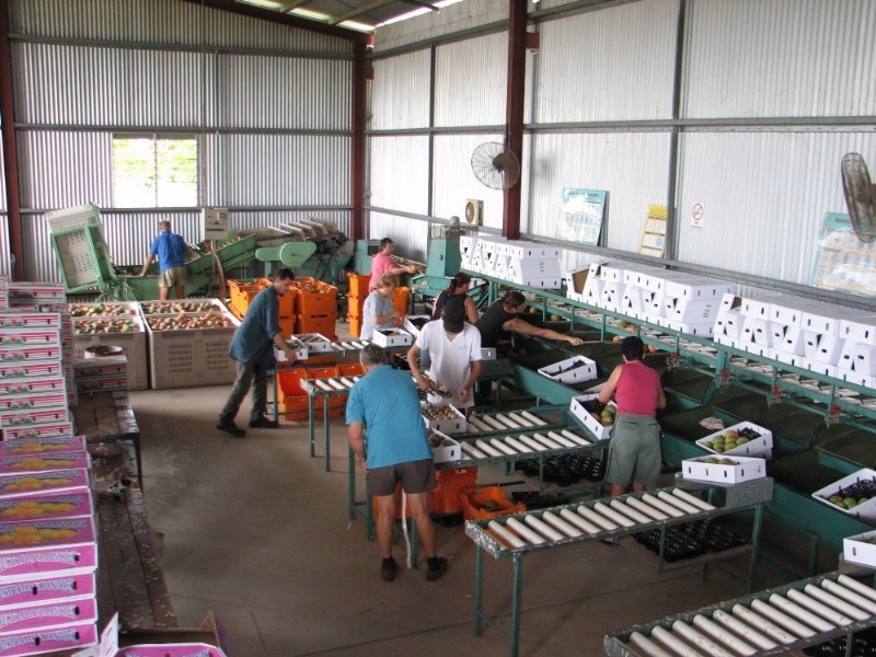 Mutchilba QLD 4872