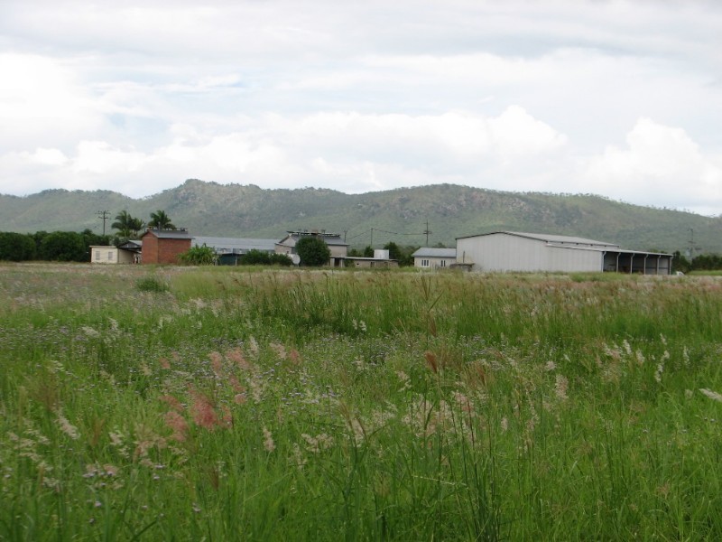 Mutchilba QLD 4872