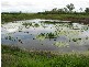 Mutchilba QLD 4872