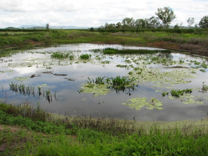 Mutchilba QLD 4872