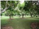 Mareeba QLD 4880
