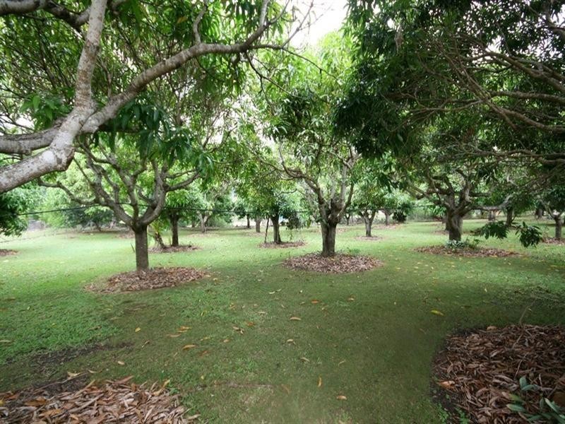 Mareeba QLD 4880