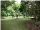 Mareeba QLD 4880