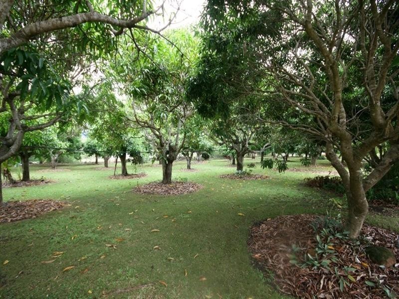 Mareeba QLD 4880