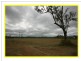 Mareeba QLD 4880