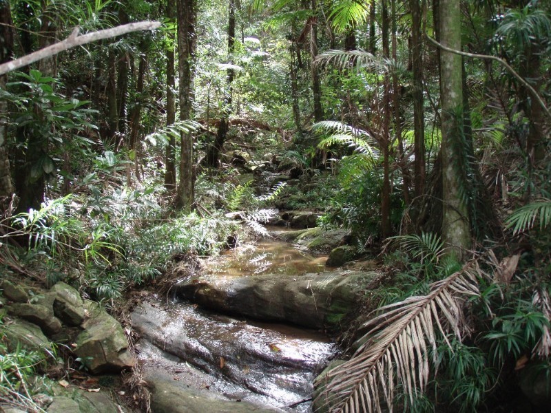 Tinbeerwah QLD 4563