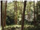 Tinbeerwah QLD 4563