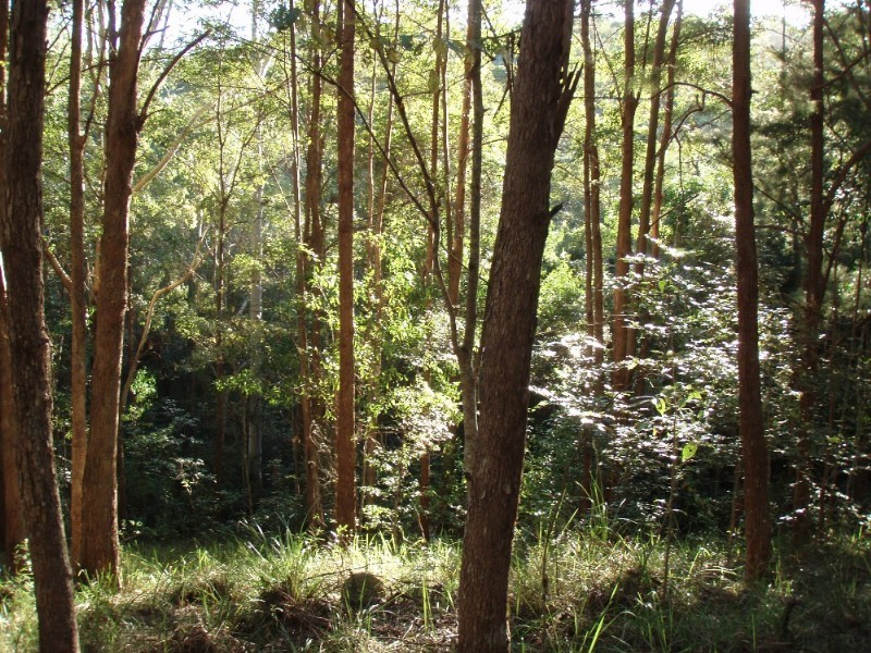 Tinbeerwah QLD 4563