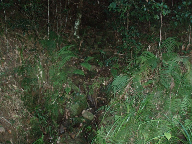 Tinbeerwah QLD 4563