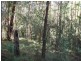 Tinbeerwah QLD 4563