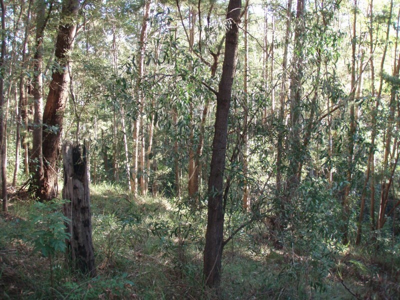 Tinbeerwah QLD 4563